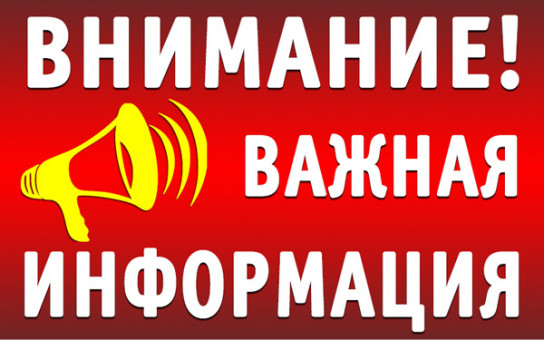 Бюллетень №13